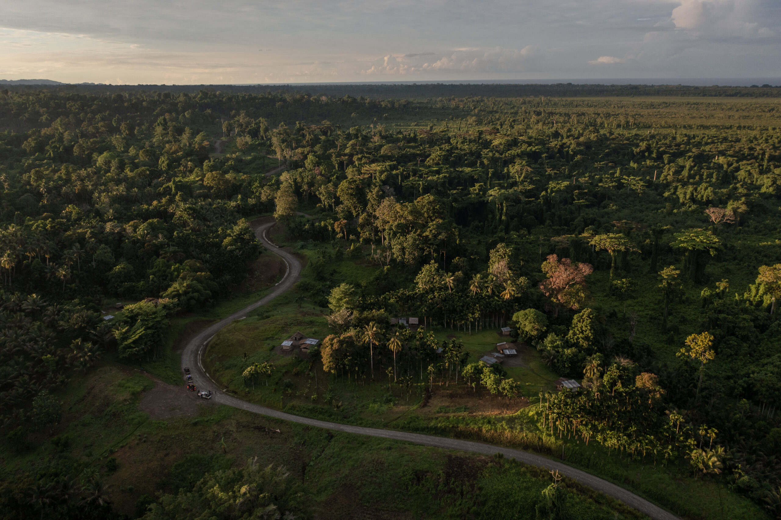 Land area and forest photo