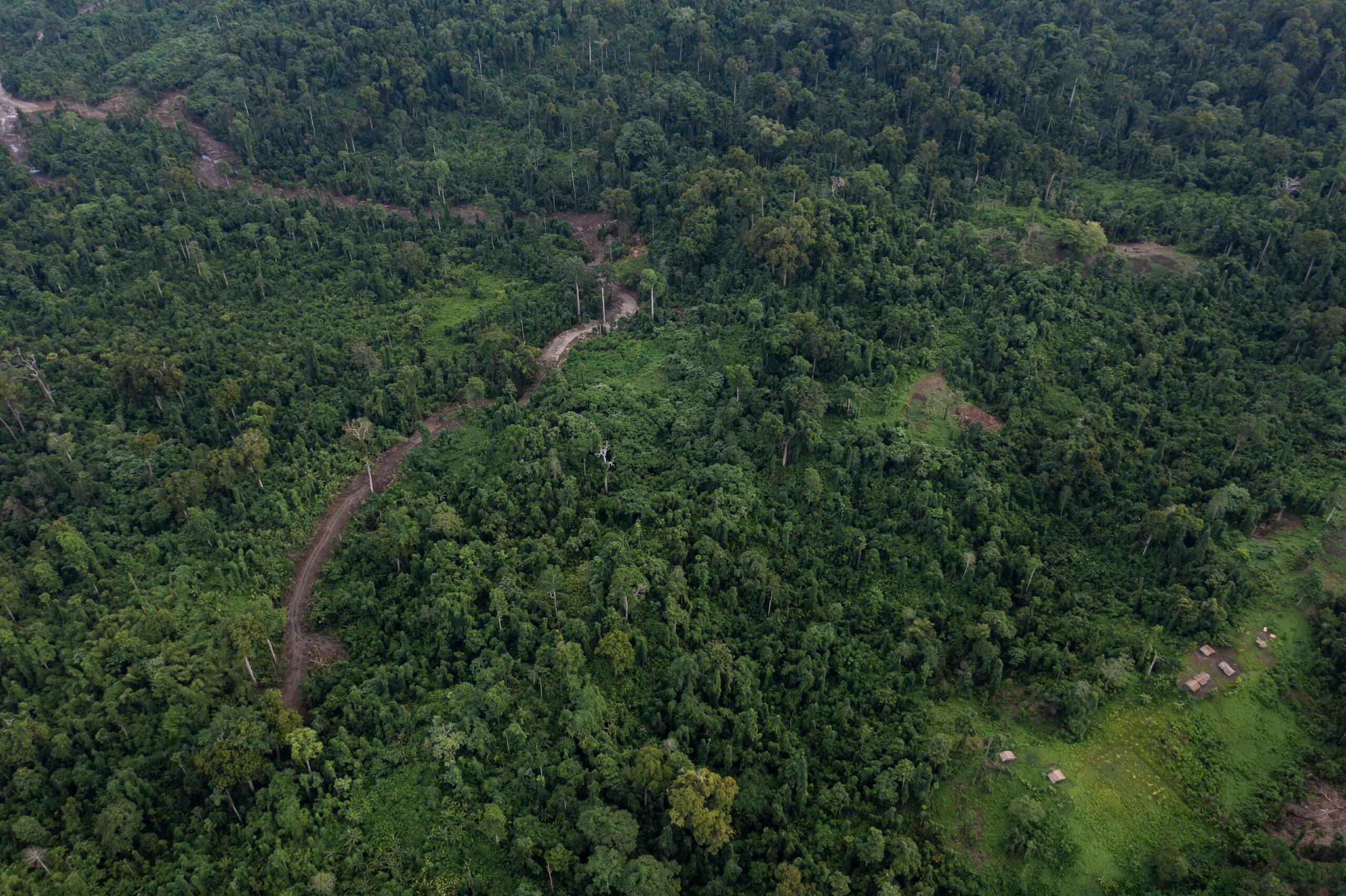 Land area and forest photo