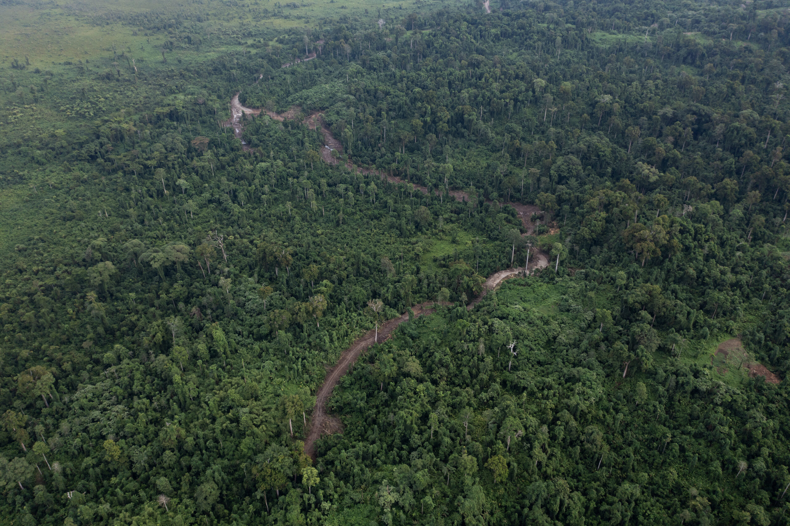Land area and forest photo