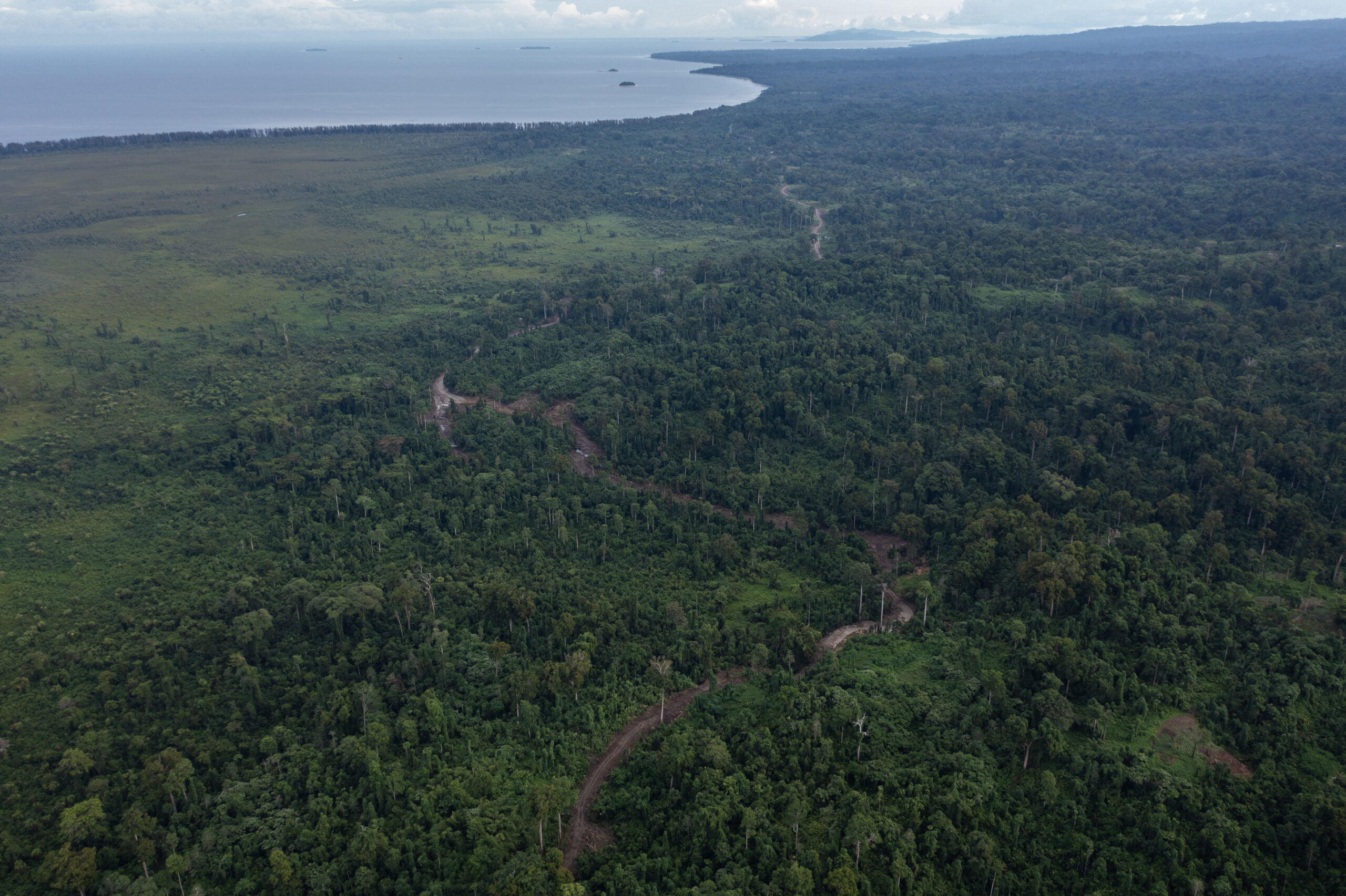 Aerial view of Soraken Plantation