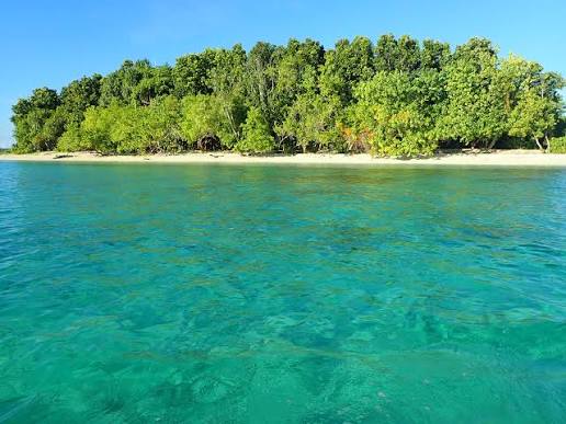 Sea and coastline photo